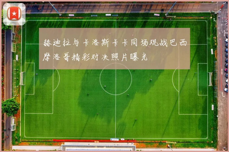 赫迪拉与卡洛斯卡卡同场观战巴西摩洛哥精彩对决照片曝光