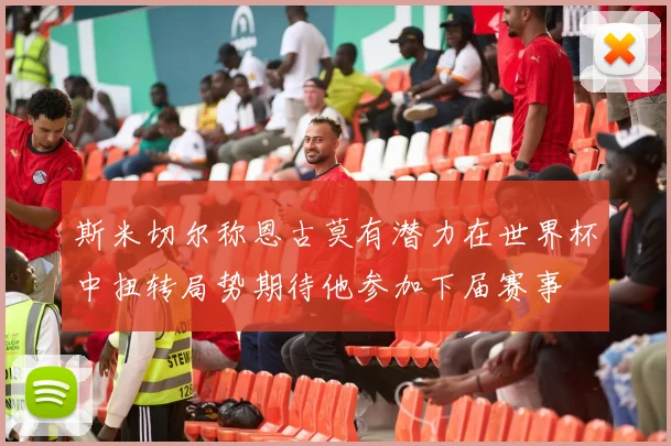 斯米切尔称恩古莫有潜力在世界杯中扭转局势期待他参加下届赛事